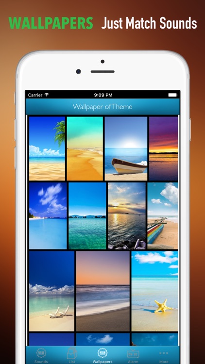 Seagull Sounds and Wallpapers: Theme Ringtones and Alarm screenshot-3