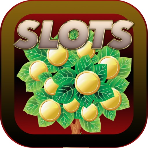Amazing Tree Gold Coins - FREE Coin Slots Game icon