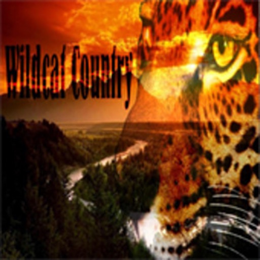 Wild Cat Country icon