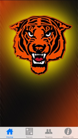 Princeton Tigers