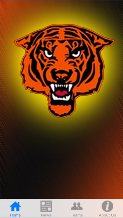 Princeton Tigers