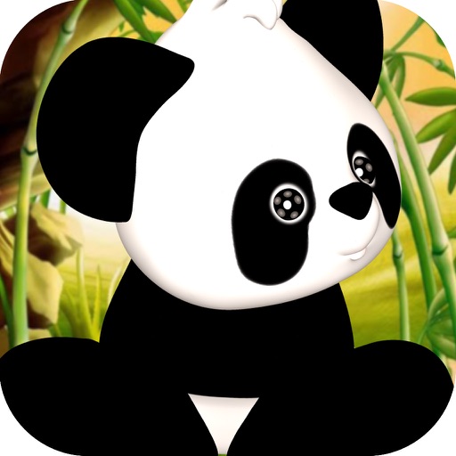 Pop Craze of Panda Bamboo Play and Fun Games Vegas icon