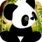 Pop Craze of Panda Bamboo Play and Fun Games Vegas