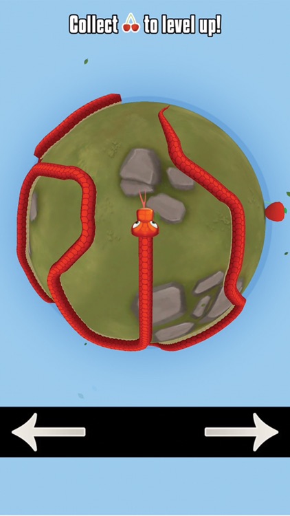 Zen Snake