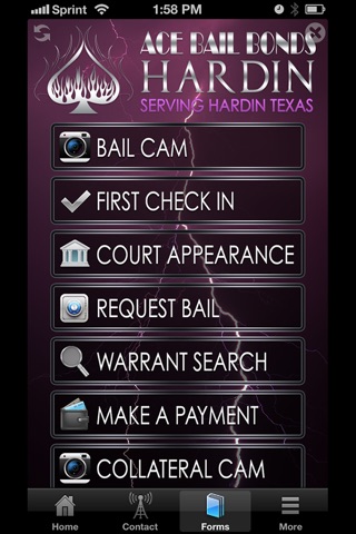 Ace Bail Bonds Hardin screenshot 3
