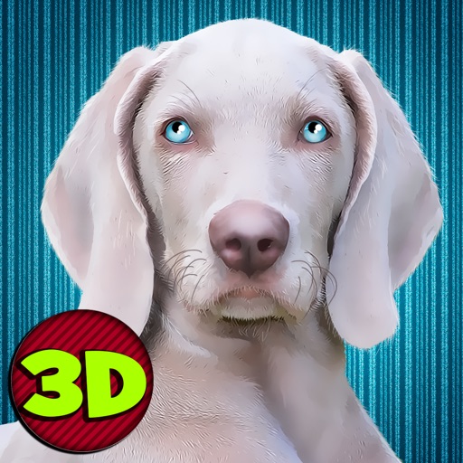 Dog Simulator 3D: House Crash Full Icon