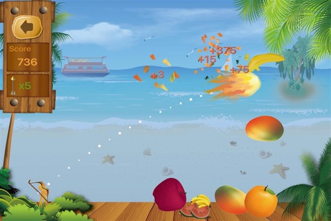 I am a Marksman 2-Shoot Fruit screenshot 2