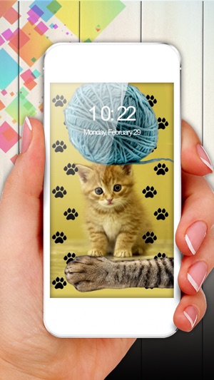 可愛的動物背景和圖片 - 美麗狗和貓壁紙集合(圖4)-速報App