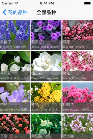 Flowering Plants screenshot 2