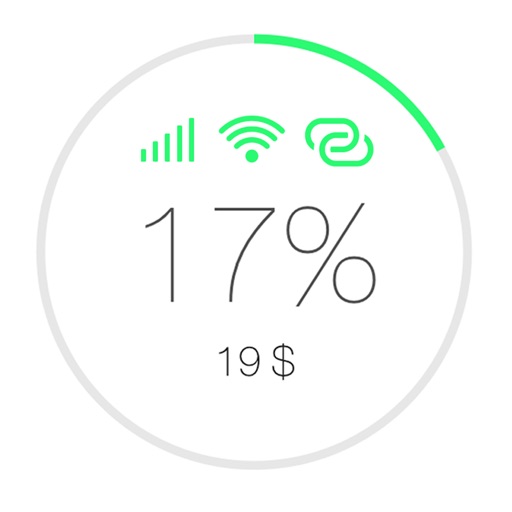 Data Usage In Real Time Icon