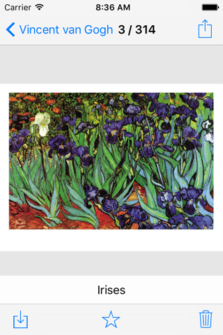 Vincent van Gogh 314 Paintings - Pro screenshot 4