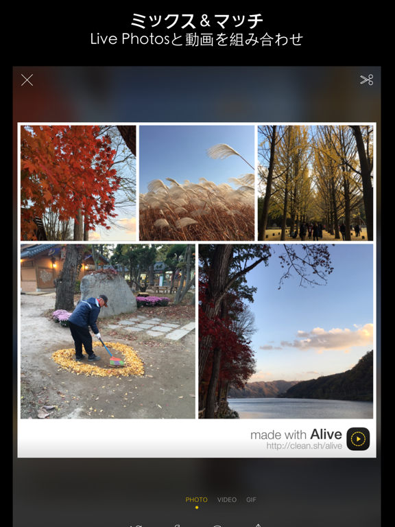Alive - Create & Share Animated Collages for Live Photos and Videosのおすすめ画像3