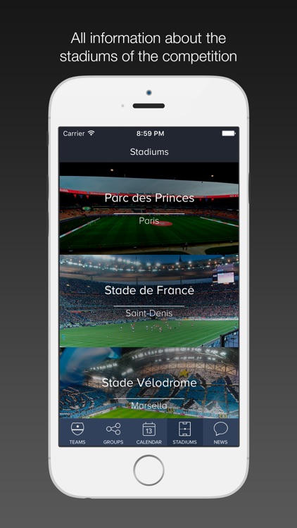 France 2016 / Scores for Euro Cup - Euro 2016 screenshot-4