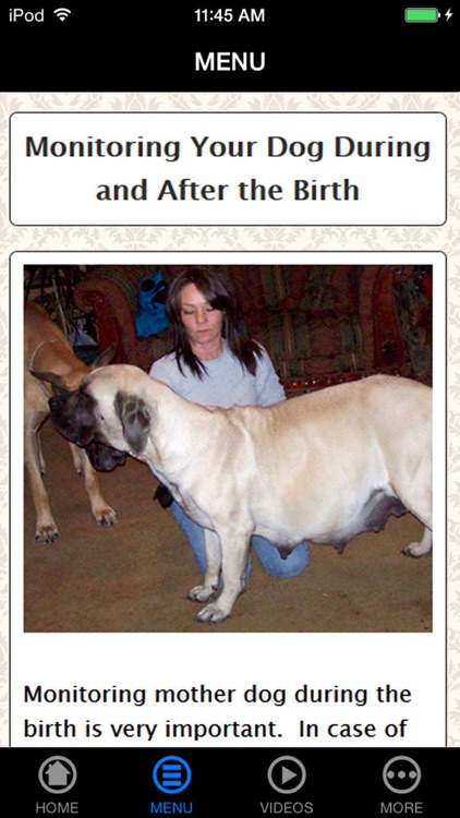 Be a Professional Help a Mother Dog Birth Fast & Safe