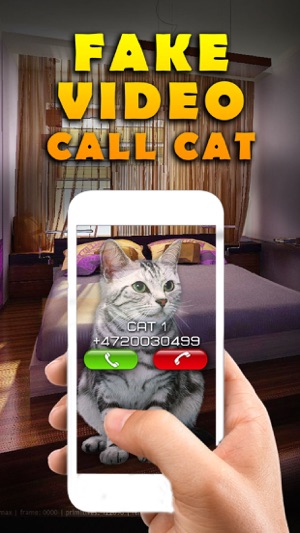 Fake Video Call Cat(圖1)-速報App