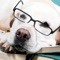 Tuition Lab retrieves the cost of attending nearly 2600 non-profit two- and four-year undergraduate colleges and universities