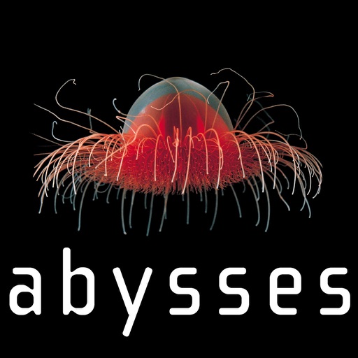 Abysses icon