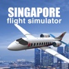 Singapore Flight Simulator