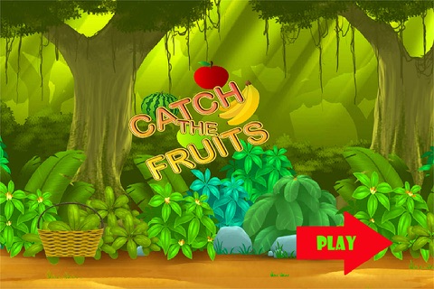 Fruits Catch screenshot 4