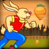 Catch The Carrots-Bunny Adventure Game Wonderland