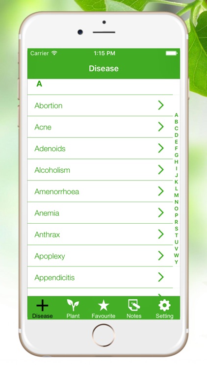 Natural Ayurvedic Remedies Herb