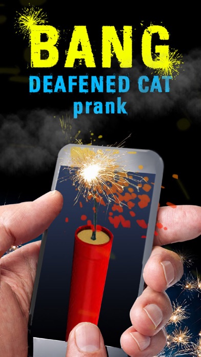 Bang Deafened Cat Prankのおすすめ画像1