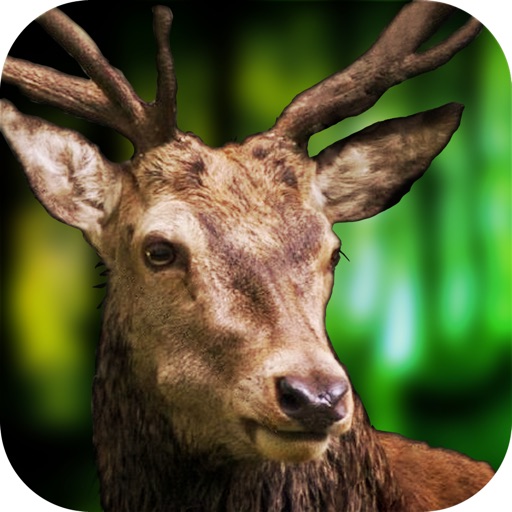 Deer Hunt African Safari 2015 iOS App