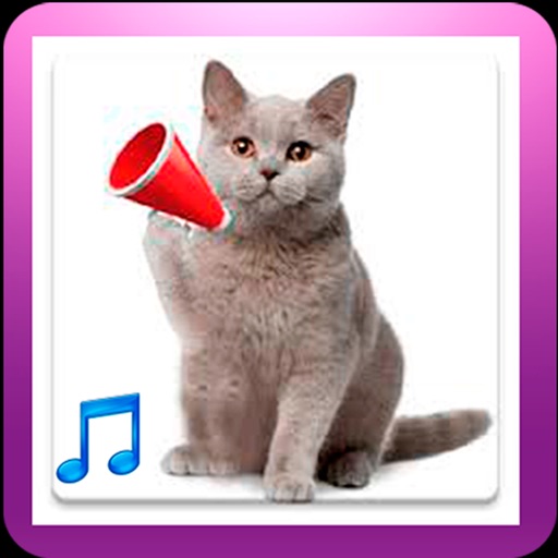Best Cat Sounds. Free Kitty Kitten Sounds. icon