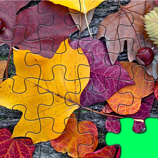 Jiggy For Scenic Fall Leaves - Pro Collection Packs Icon