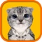 Icon Cat Simulator HD