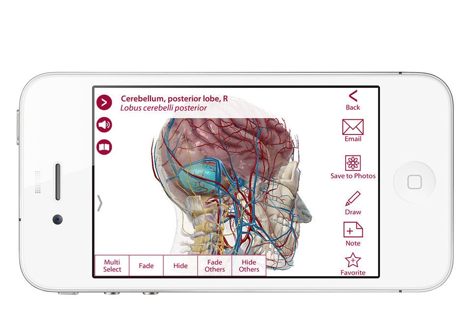 For Organizations - 2016 Anatomy & Physiology screenshot 2