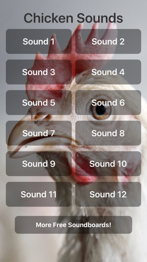 Chicken Sounds!(圖1)-速報App