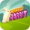 Greedy Rabbit is dynamic and funny arcade game