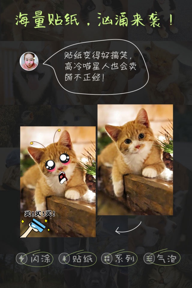 萌宠相机-猫狗的拍照神器 screenshot 4