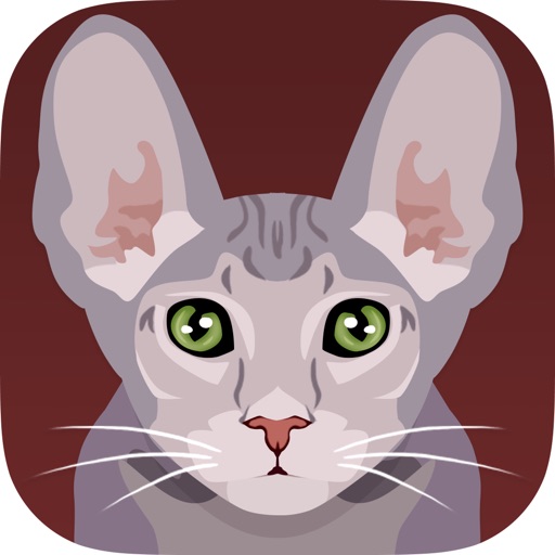 Cats Flash Cards Prof icon