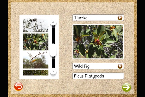 Western Arrarnta Plants screenshot 2