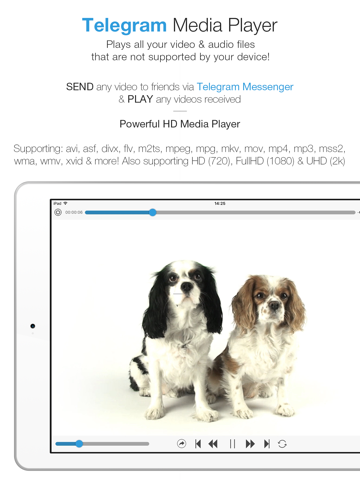 Скриншот из Telegram Media Player - Video & Movie Player for Telegram Messenger