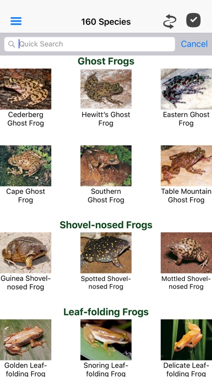 Frogs of Southern Africa