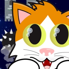 Activities of Kitten Rocket: Flight Training