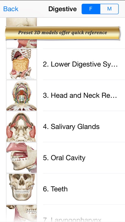 Digestive Anatomy Atlas: Essential Reference for Students and Healthcare Professionals