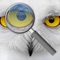Enlarge your photos with this virtual magnifying glass