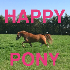 Activities of Happy Pony for iPhone by Horse Reader