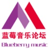 蓝莓音乐HD
