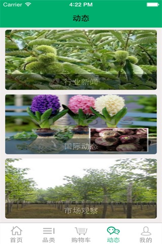 云南苗木行业 screenshot 4