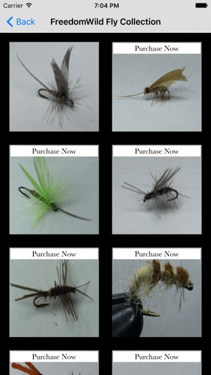 FreedomWild Fly Patterns(圖2)-速報App