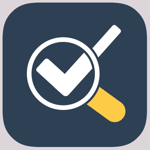 Audit Reporting