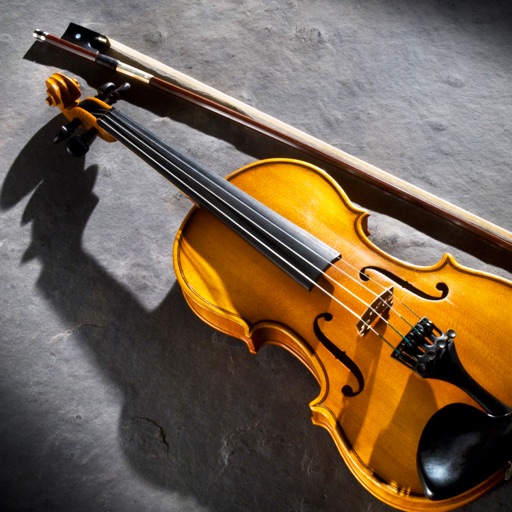 小提琴自学教程Pro