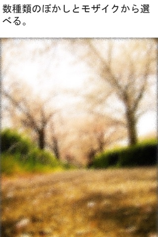 blur effect app screenshot 2