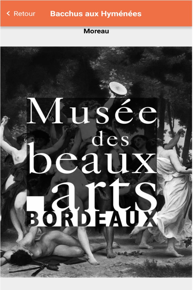 Musée des Beaux Arts de Bordeaux screenshot 3