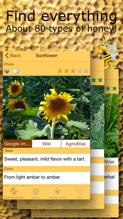 Honey Guide. All about bees and honey types.